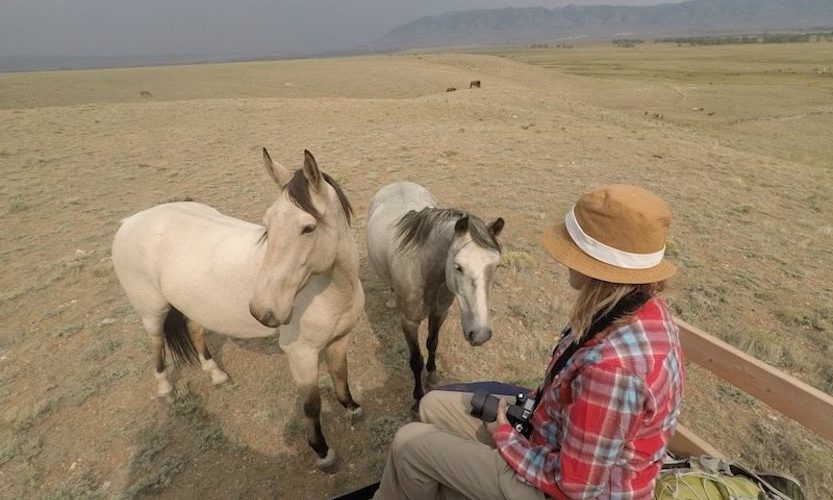 EcoSanctuary: Our Wild Mustang Day - Gallery Slide #7